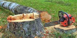  Penn Farms, PA Tree Care Pros